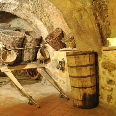 Museo del Vino