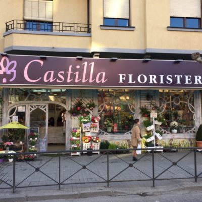 Castilla Floristeira