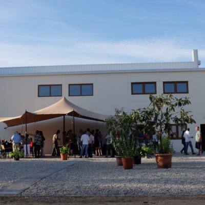 Bodega Territorio Luthier