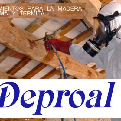 Tratamiento profesional de plagas en madera