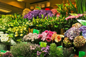 Concesión de licencias para la venta de flores con motivo de la Festividad de Todos los Santos