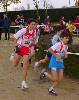 Comienzan los preparativos de los Juegos Escolares del Curso 2003/2004