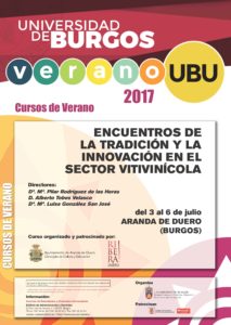 ENCUENTROS DE LA TRADICIÓN Y LA INNOVACIÓN EN EL SECTOR VITIVINÍCOLA