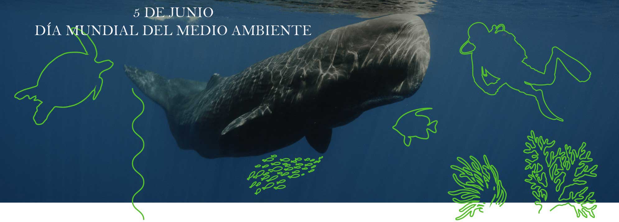 5 DE JUNIO DÍA MUNDIAL DEL MEDIO AMBIENTE