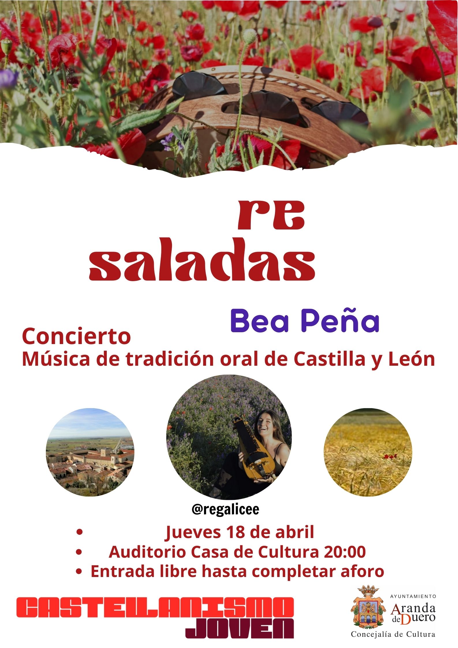 Concierto – Bea Peña